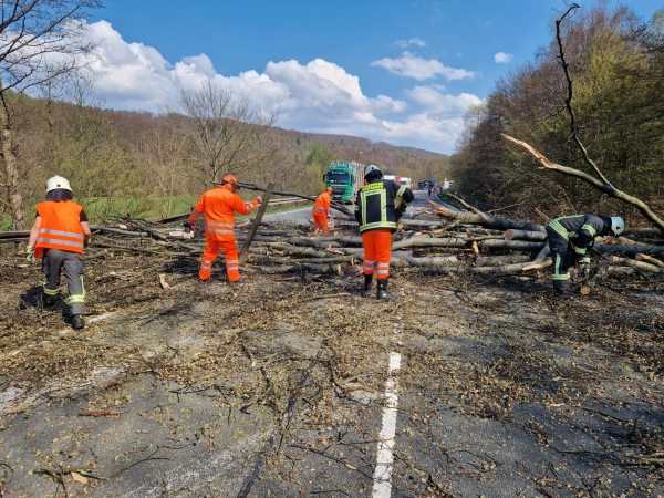 Nr. 45 - Baum auf Fahrbahn