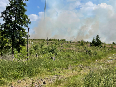Waldbrand im Stiftswald am 14.06.2023
