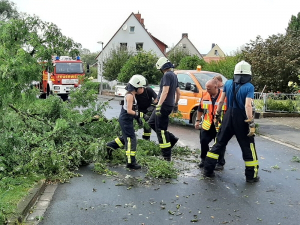 Nr. 158 - Baum auf Fahrbahn