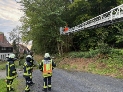 Nr. 107 - Baum auf Fahrbahn