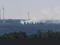 Nr. 67 - Vegetationsbrand