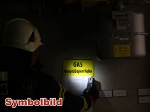 Nr. 181 - Gasausströmung