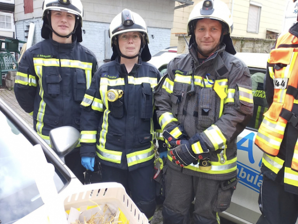 Nr. 92 - Tierrettung